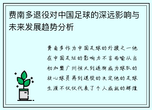 费南多退役对中国足球的深远影响与未来发展趋势分析